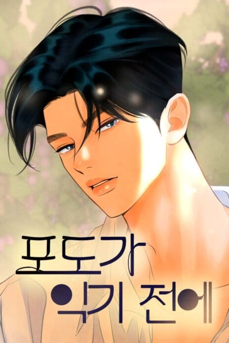Before The grapes Ripen cover