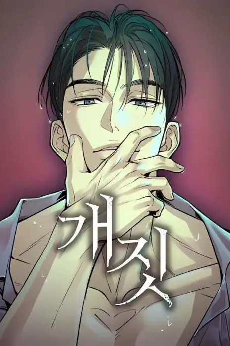 Bullshit cover