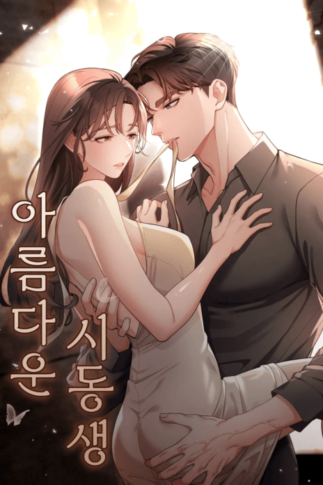 My Beautiful Brother In Law cover