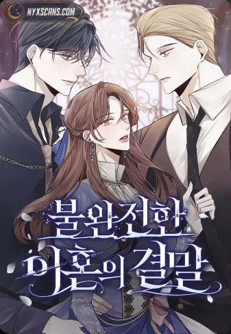 The End of an Imperfect Divorce cover