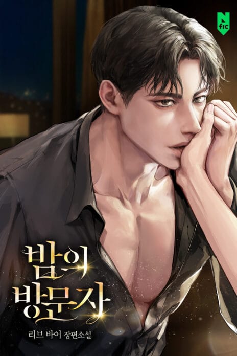 The Visitor Of The Night cover